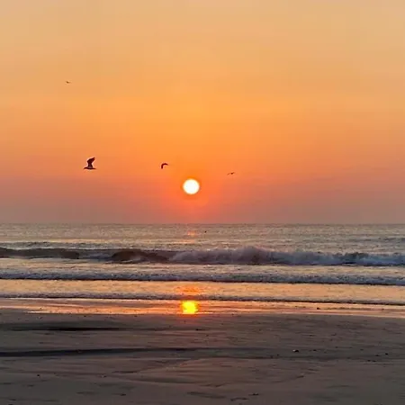 Emi Mamaia Năvodari