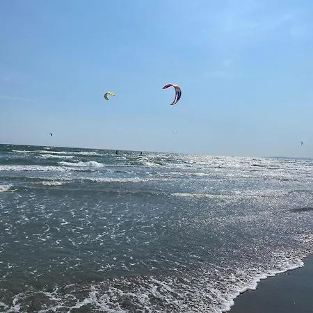 Emi Mamaia Năvodari