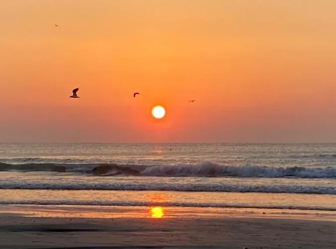 Emi Mamaia 那沃达利